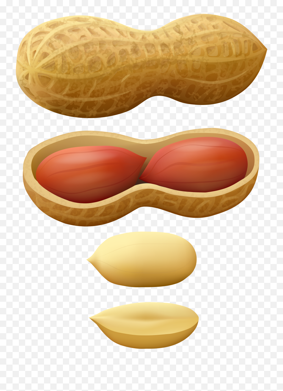 Peanut Shell Clipart 2130408 - Png Images Pngio Peanut Png Clipart Emoji,Shell Clipart
