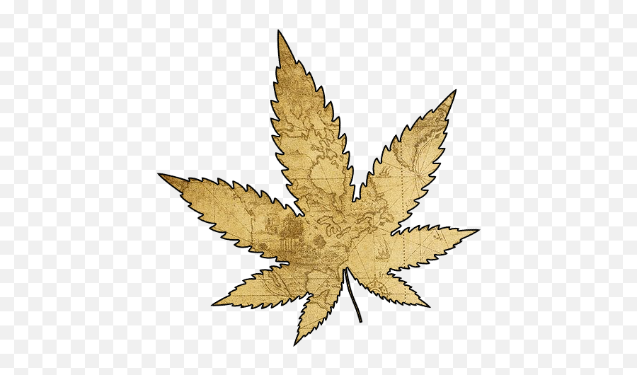 History Educational - Hemp Emoji,Marijuana Leaf Png