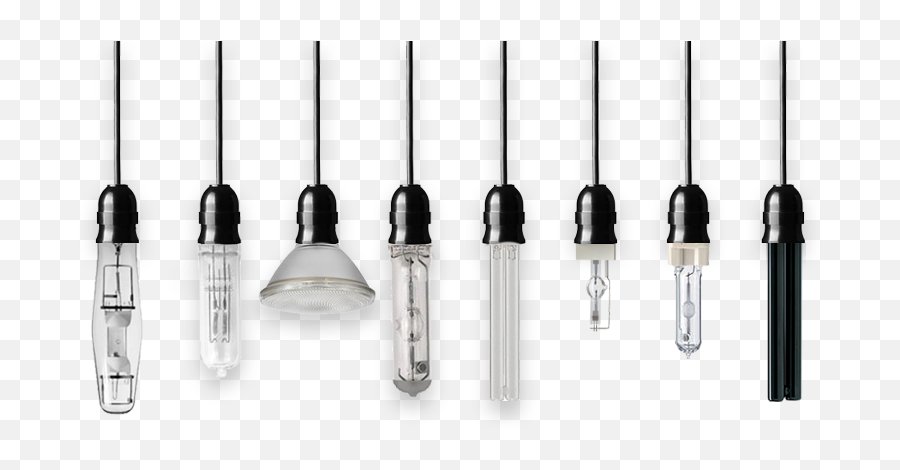 Commercial Light Bulbs For Sale Light Bulb Distributor - Micro Lamp Emoji,Light Bulbs Logo
