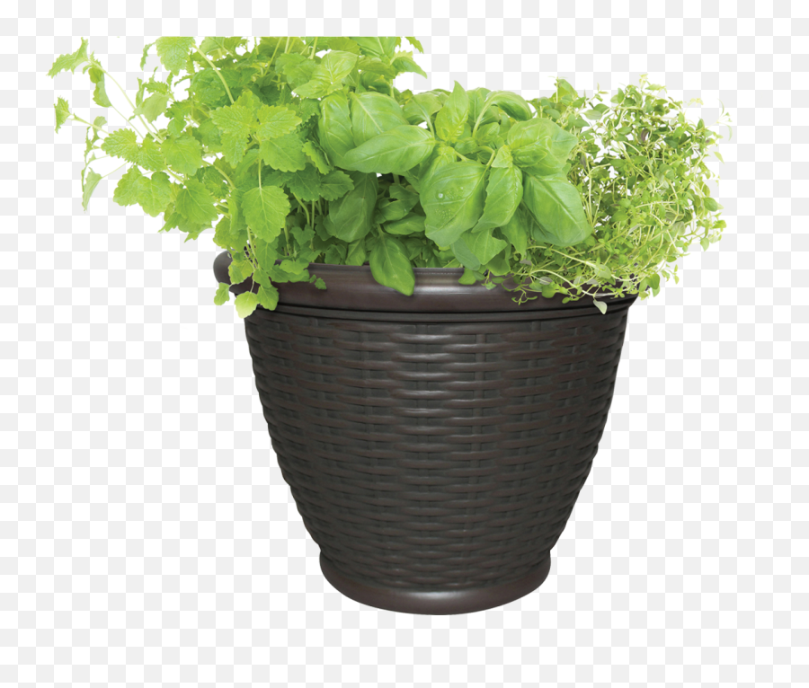 Pot With Soil Background Transparent U0026 P 1730175 - Png Plant With A Pot Transparent Emoji,Gardening Png