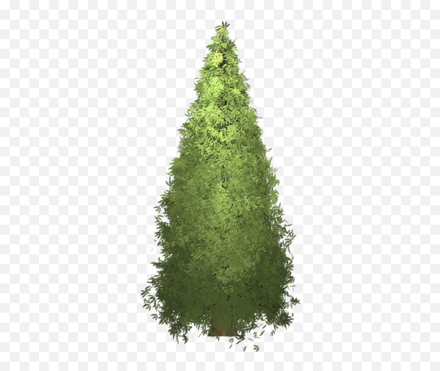Redwood Tree Painted Tree Green Emoji,Redwood Tree Clipart