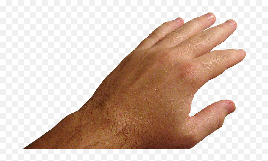 Hands Png Image - Real Hand Png Emoji,Hand Png