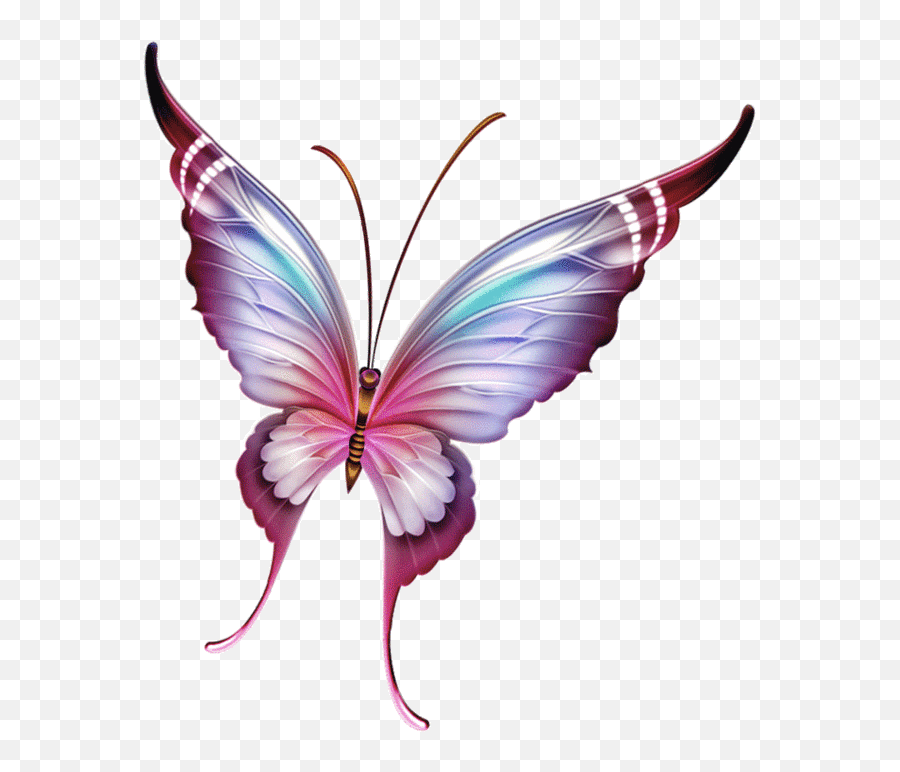 Butterfly Gif Png 5 Gif Images Download Emoji,Butterfly Gif Transparent