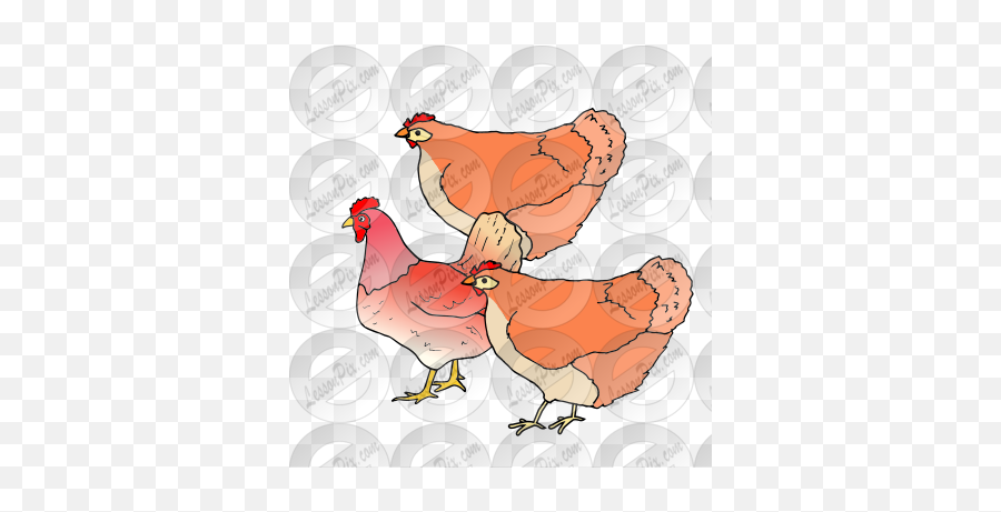 Chickens Picture For Classroom Therapy Use - Great Emoji,Poultry Clipart