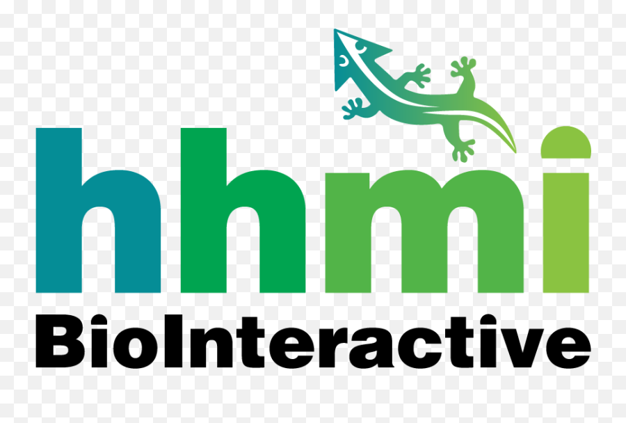 States Of Matter - Atomic Bonding Interaction Potential Hhmi Biointeractive Logo Emoji,Html5 Logo