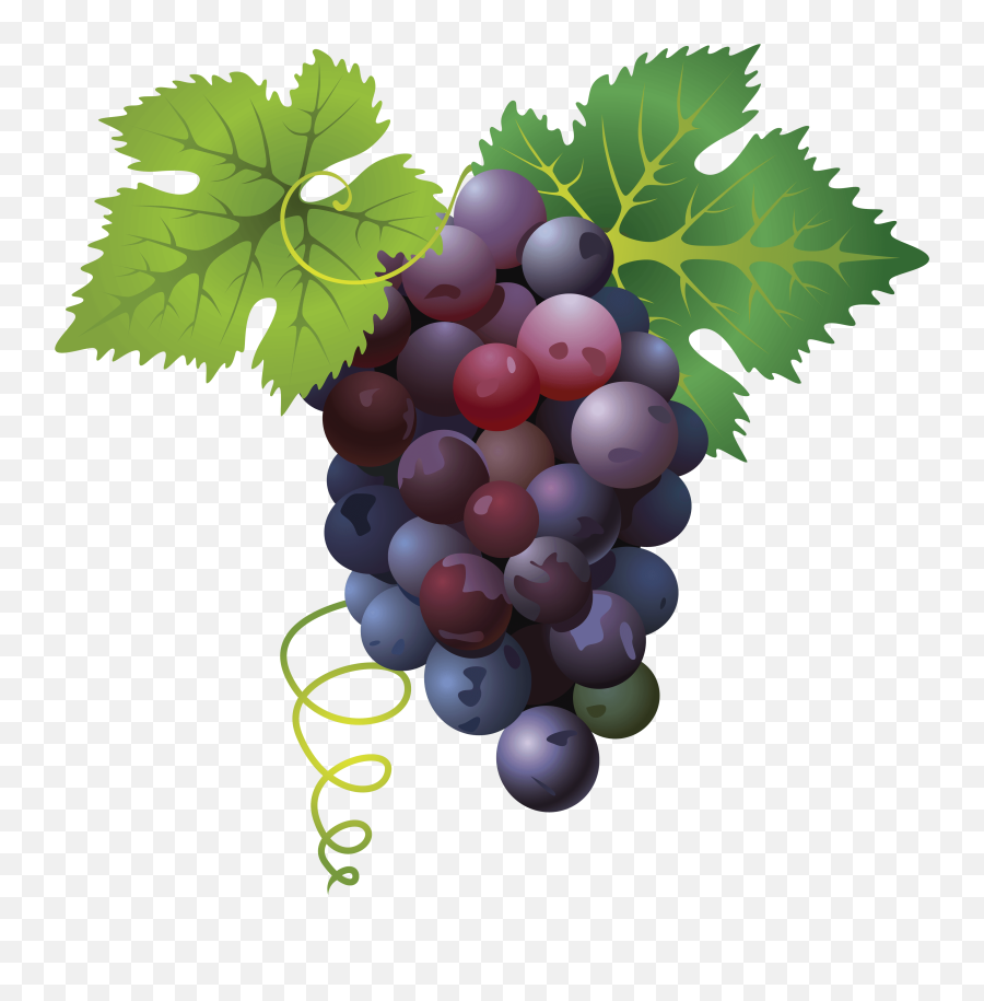 Download Grape Png Image Hq Png Image - Grapes Transparent Png Emoji,Grapes Png