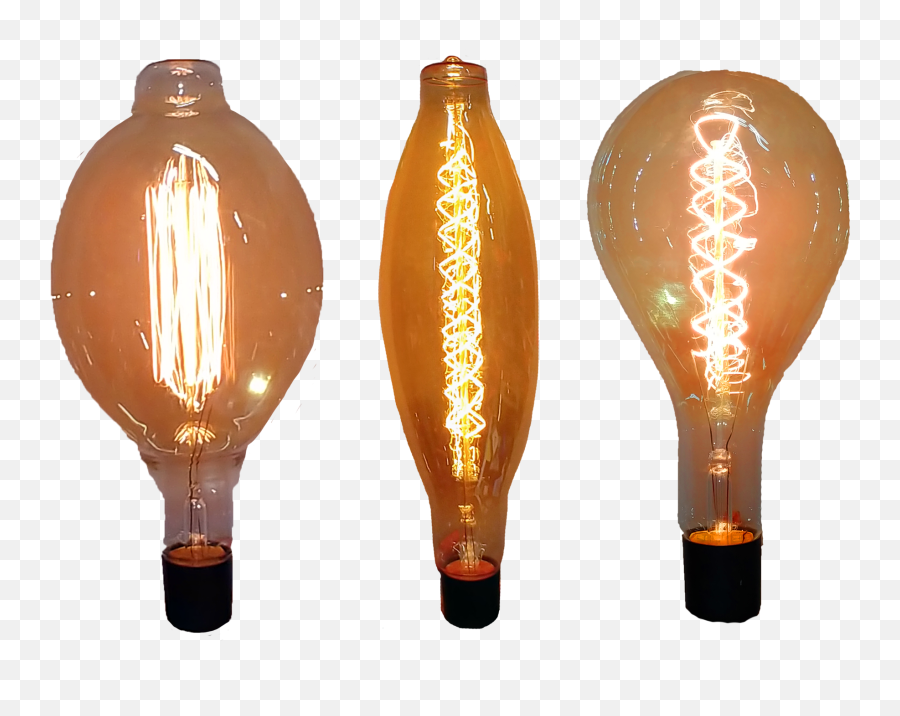 Oversized Edison Bulbs In The Event - Tungsten Emoji,Light Bulbs Logo