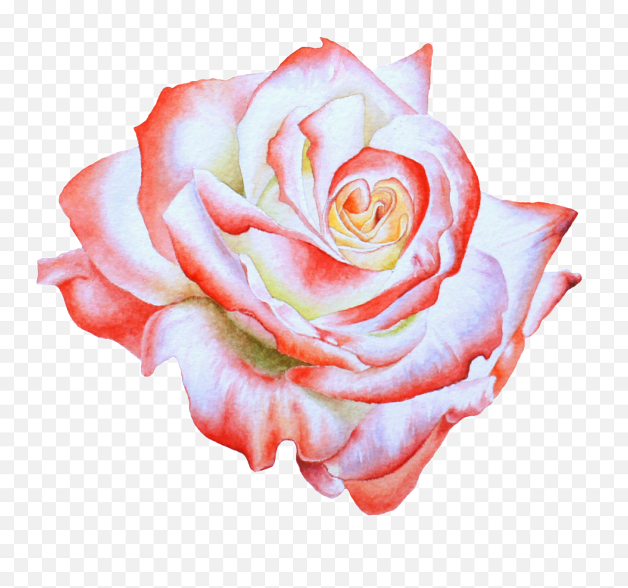 Download Hand Painted Side View Rose Emoji,Painted Flowers Png