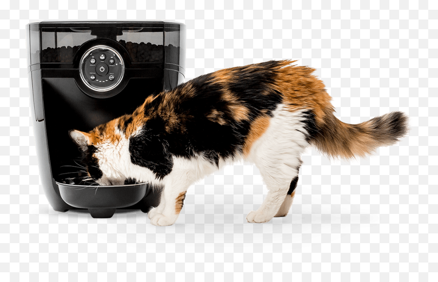Timed Automatic Pet Feeder U0026 Food Dispenser Litter - Robot Emoji,Cat Tail Png
