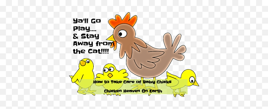 How To Take Care Of Baby Chicks Basics Emoji,Baby Chick Png