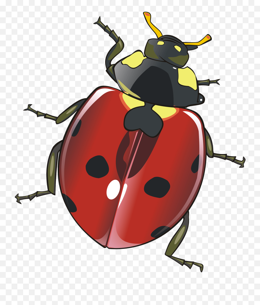 Ladybug Clipart Free Download Transparent Png Creazilla Emoji,Ladybug Clipart Free