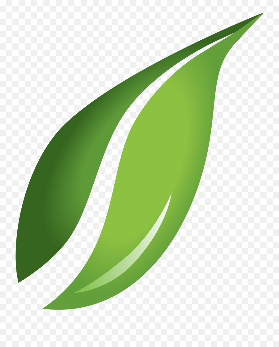 Green Leaves Png Transparent Background - Leaf Transparent Background Emoji,Green Leaves Png