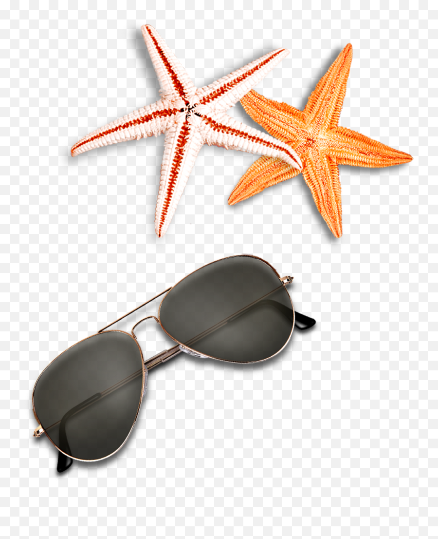 Beach Elements Sunglasses Starfish Free Clipart Hd U2013 Free - Sunglasses Png Top View Emoji,Starfish Clipart