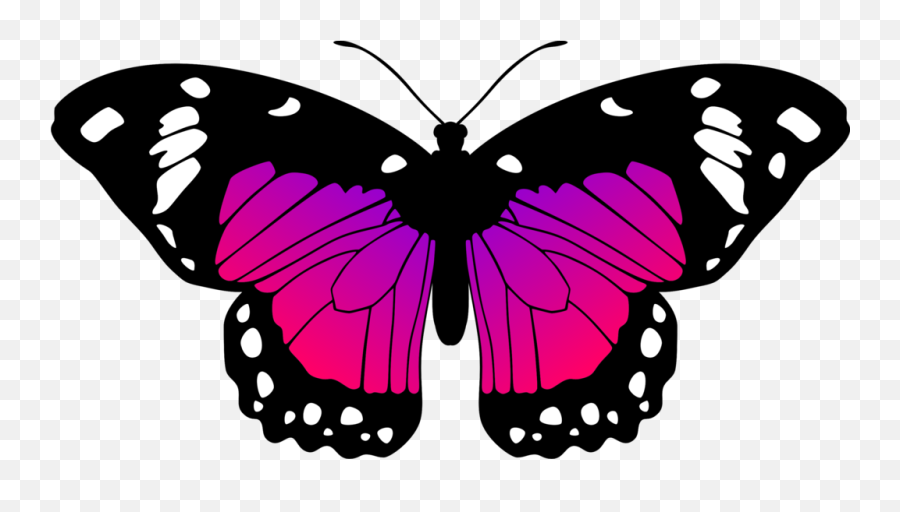 Butterflies Transparent Pink Purple - Pink And Purple Purple Pink Butterfly Clipart Emoji,Butterfly Outline Clipart