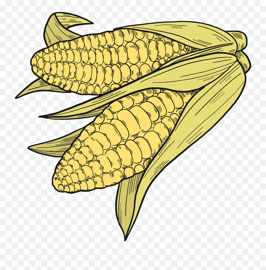 Corn Cobs Clipart Free Download Transparent Png Creazilla - Corn On The Cob Emoji,Corn Clipart