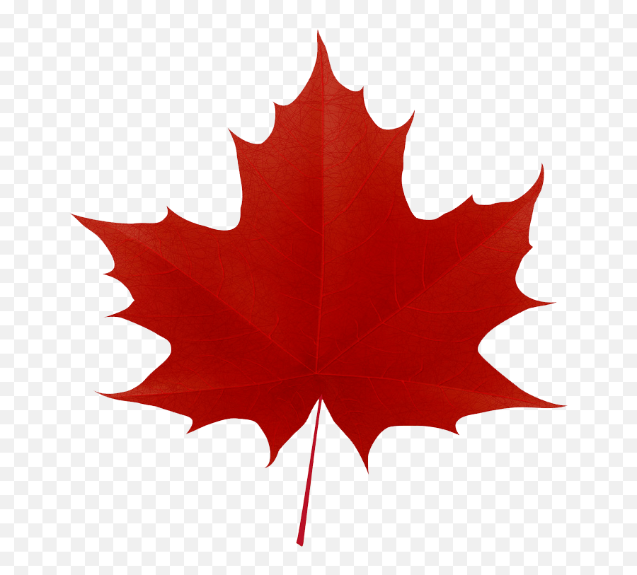Leaf Clipart - Clipartworld Canada Maple Leaf Free Emoji,Tropical Leaf Clipart