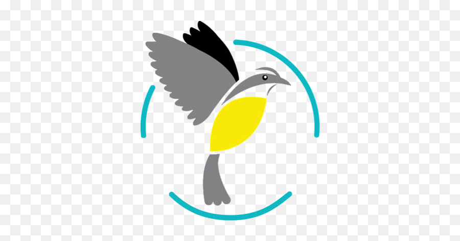 Picture - Birds Caribbean 352x390 Png Clipart Download Emoji,Caribbean Clipart