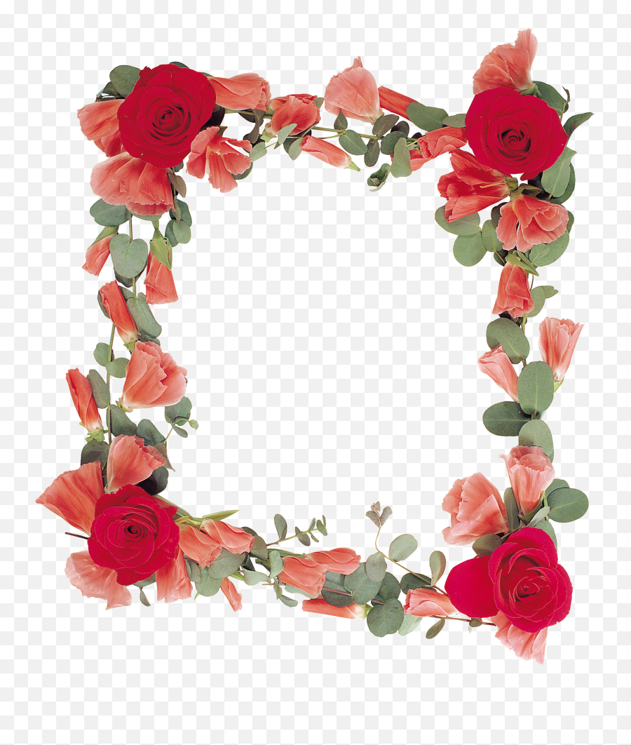 Flower Red Frame Png Images Download - Yourpngcom Emoji,Red Frame Png