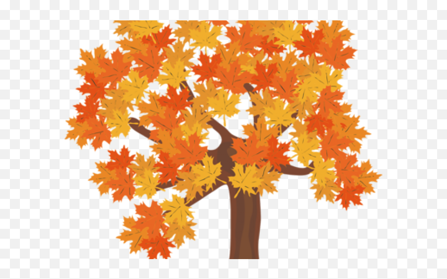 Fall Trees Clipart No Background - Tree Fall No Background Emoji,Fall Tree Clipart