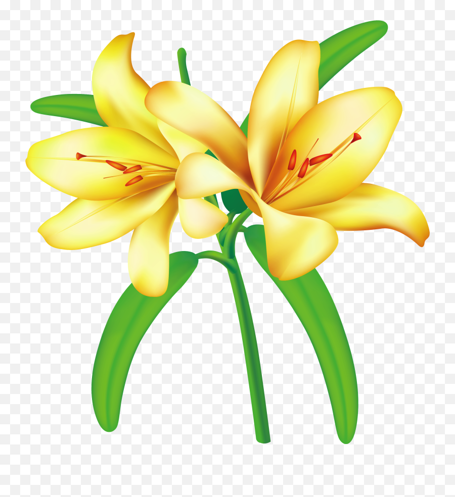 Lily Clipart Yellow Jessamine Lily - Yellow Bell Flowers Png Emoji,Easter Lily Clipart