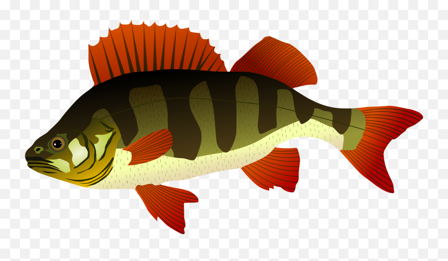 Library Of Big Mouth Bass Fish Clip Png - Perch Clipart Emoji,Bass Fish Clipart
