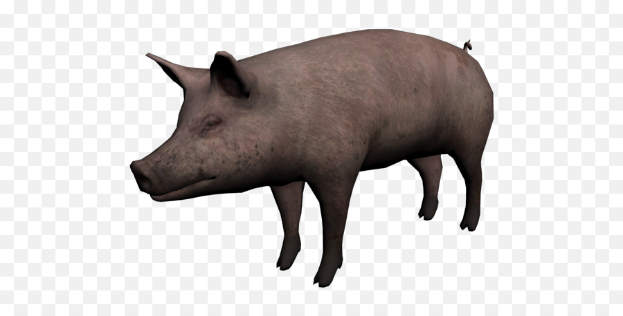 Pig Emoji,Pig Transparent