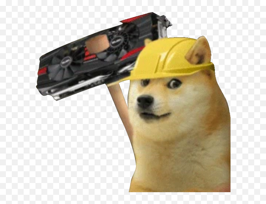 Download A Day In The Dogecoin Shibes Life 247 - Shiba Inu Portable Network Graphics Emoji,Doge Transparent Background