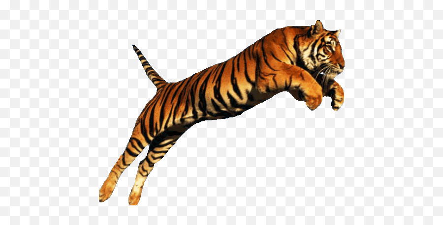 Running Tiger Png U0026 Free Running Tigerpng Transparent - Tiger Png Emoji,Tiger Transparent Background