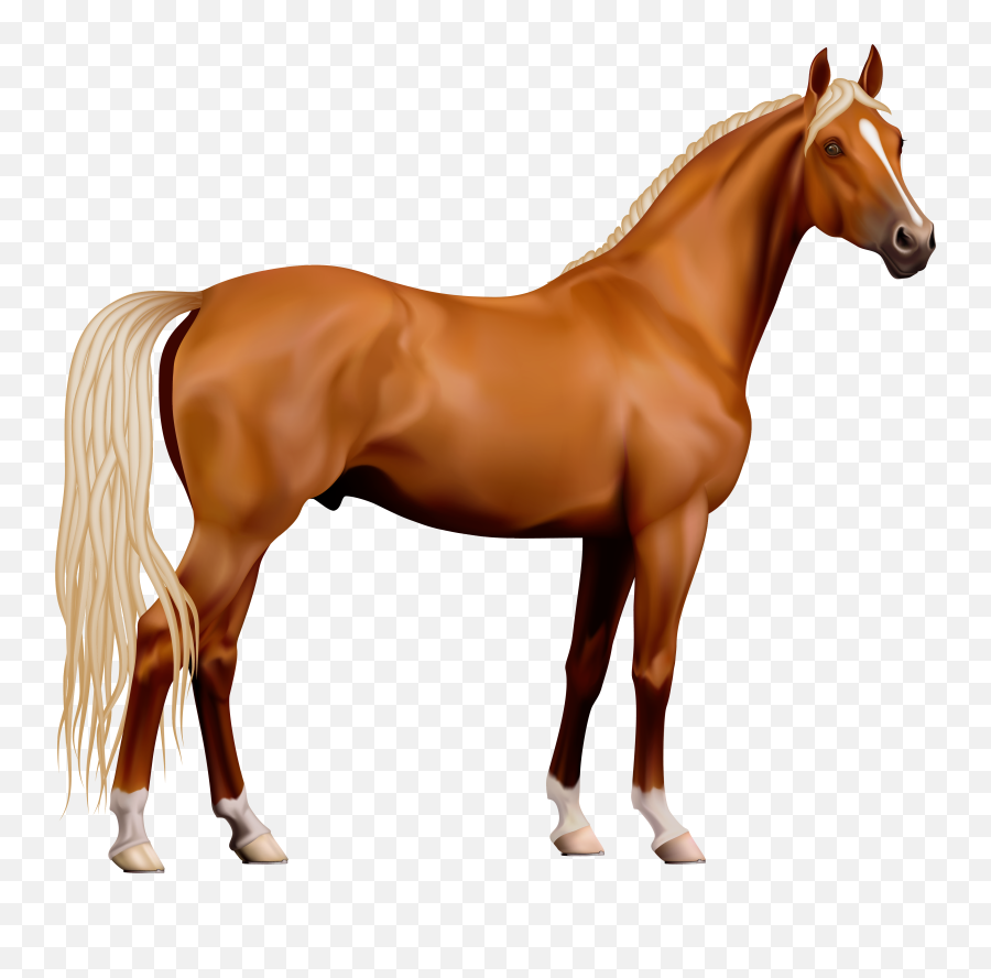 Free Horse Clipart Transparent - Horse Png Emoji,Horse Clipart