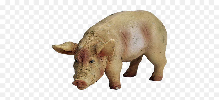 Free Photos Lucky Pig Search Download - Needpixcom Emoji,Pig Transparent Background