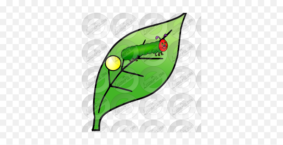 Out Popped A Caterpillar Picture For Classroom Therapy Use Emoji,Caterpillars Clipart