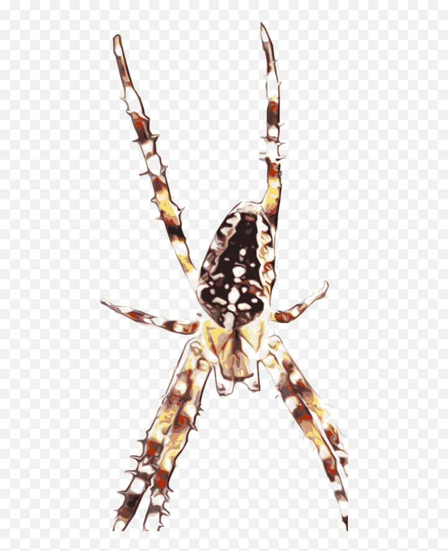 Spider Svg Vector Spider Clip Art - Svg Clipart Spider Web Emoji,Spider Clipart