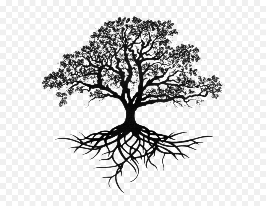 Tree With Long Roots Transparent Png Emoji,Transparent Tree And Roots
