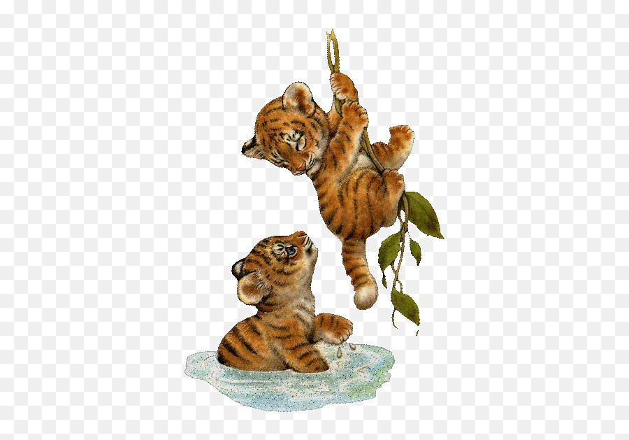 Baby Tigers Hanging Emoji,Tiger Cub Clipart