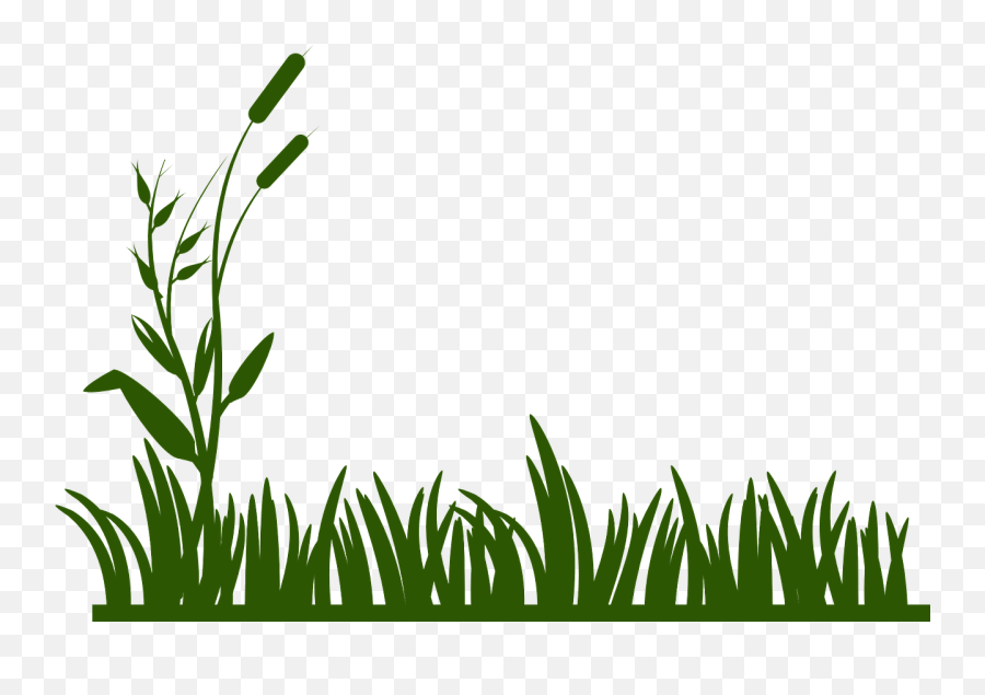 Grass Background Green Png Picpng Emoji,Wheat Stalk Clipart