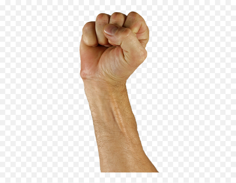 Faust Hand Sign Language Victory Png Picpng Emoji,Victory Png