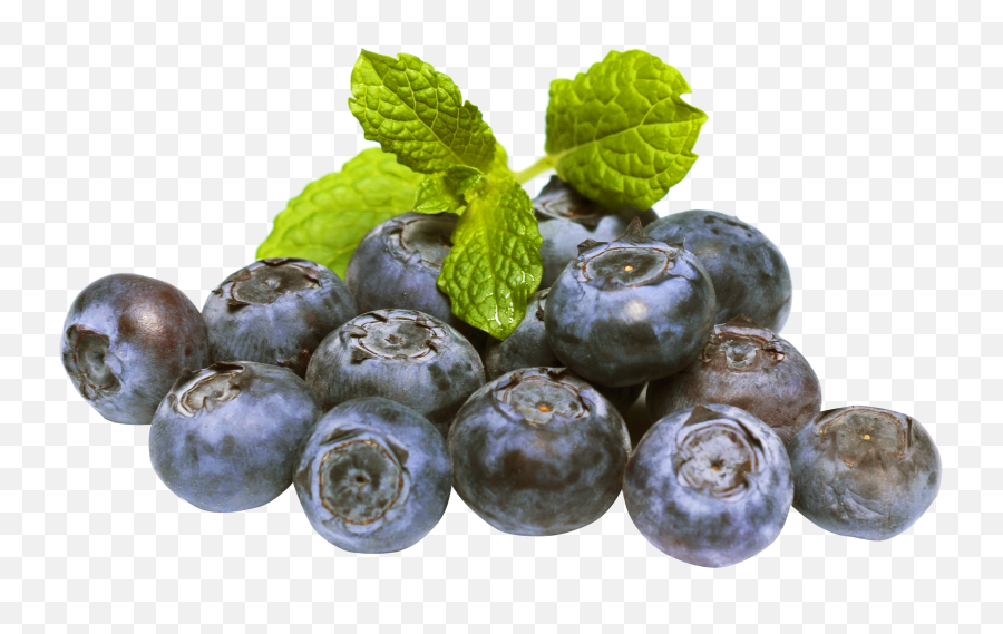 Fresh Blueberry Png Clipart Background Png Play - Blueberry Emoji,Blueberry Clipart