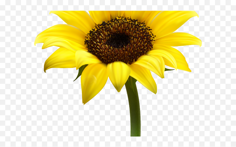 Sun Flower Clipart Png - Clipart Of Yellow Sunflower Emoji,Sunflower Clipart