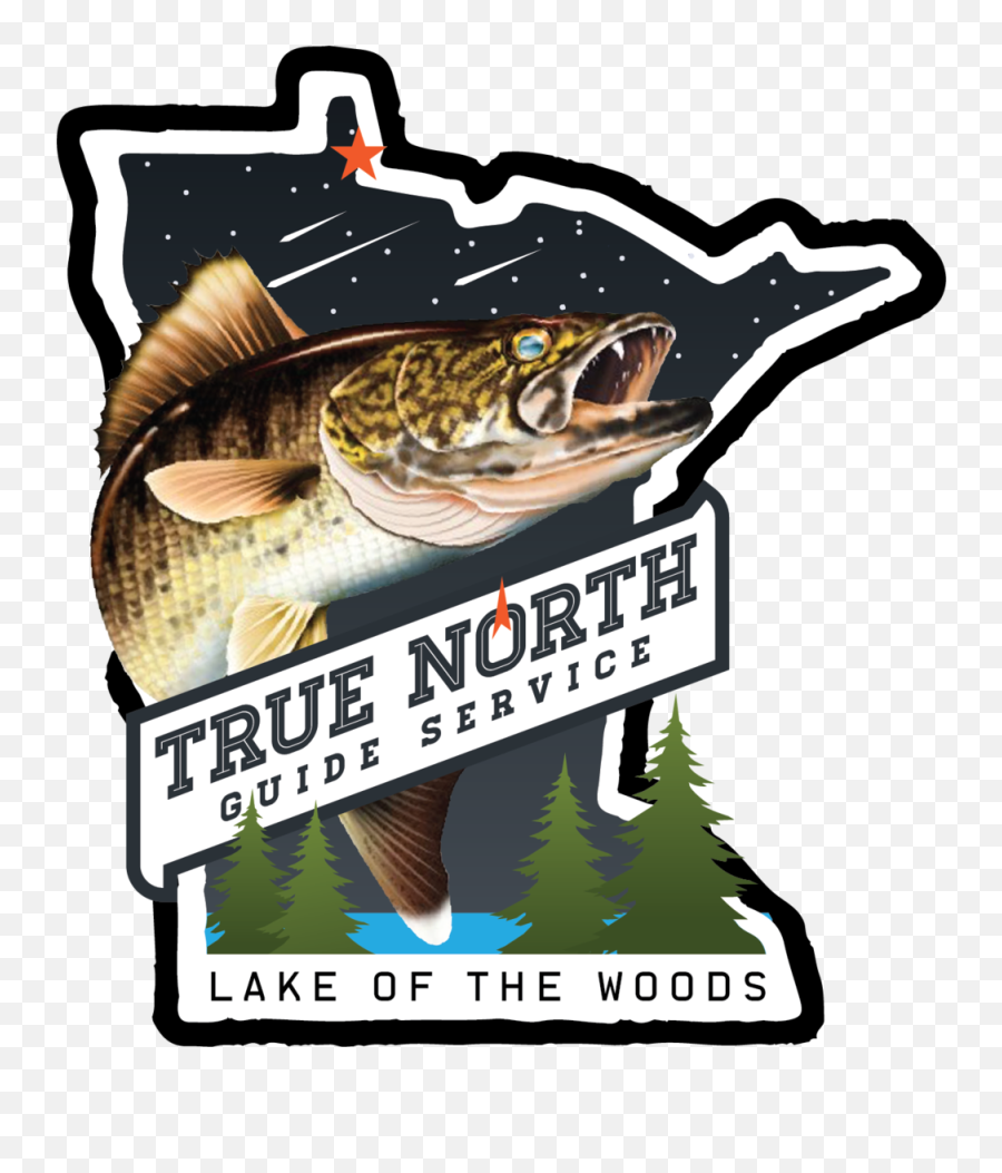 True North Guide Service U2014 Lake Of The Woods Fishing Emoji,Woods Png