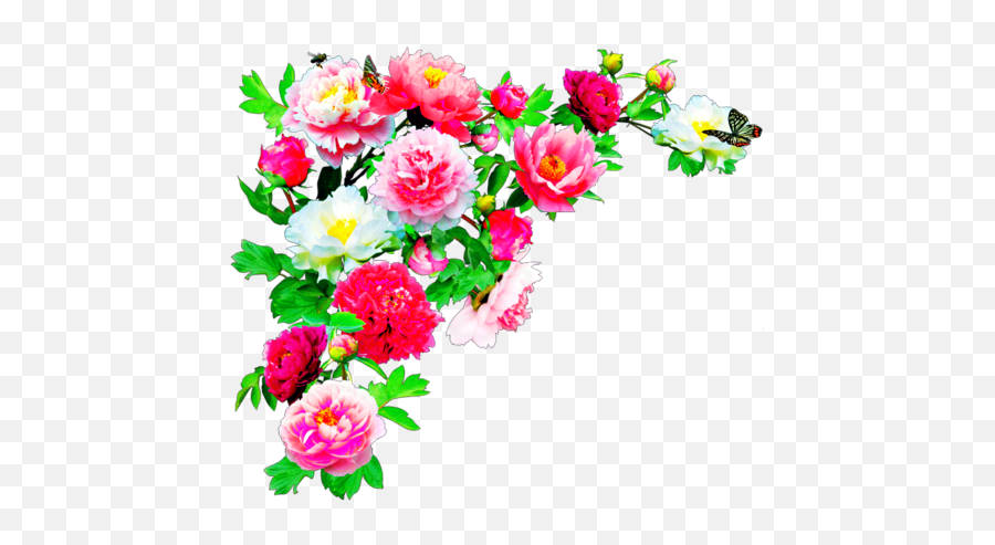Download Editing Overlay And Transpa Image - Flowers Hd In Emoji,Flower Overlay Png