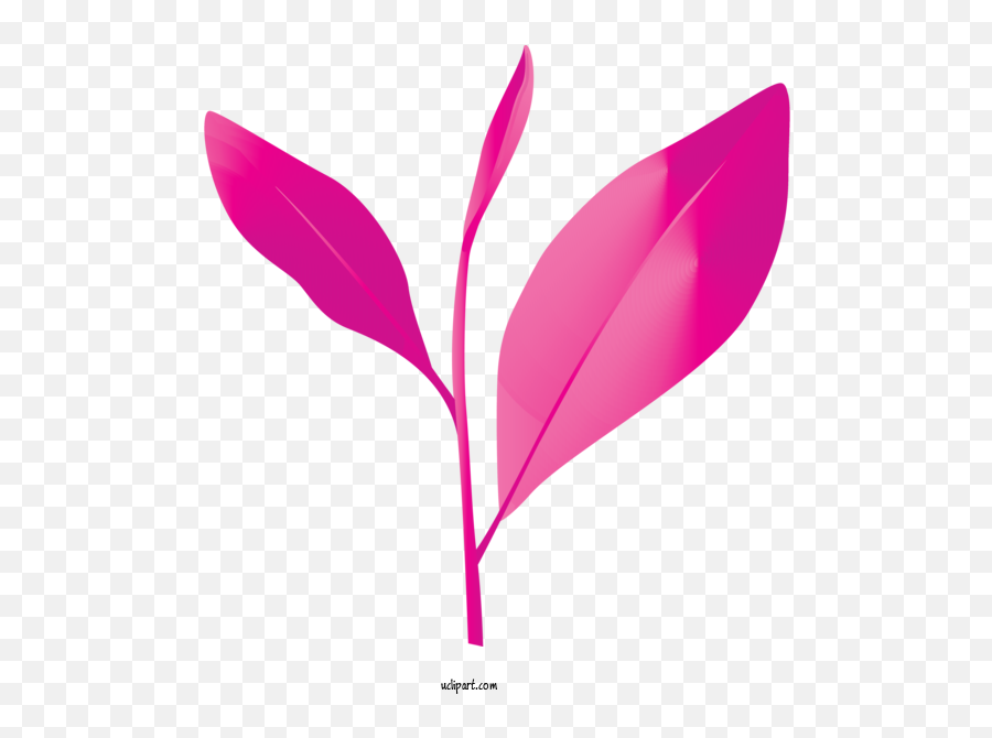 Nature Leaf Pink Plant For Leaf - Leaf Clipart Nature Clip Art Emoji,Foliage Clipart