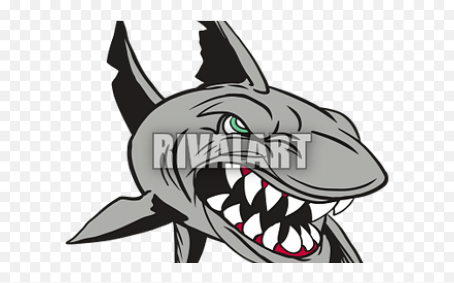 Download Shark Clipart Mean - Sharks Png Image With No Mean Shark Clipart Emoji,Shark Clipart