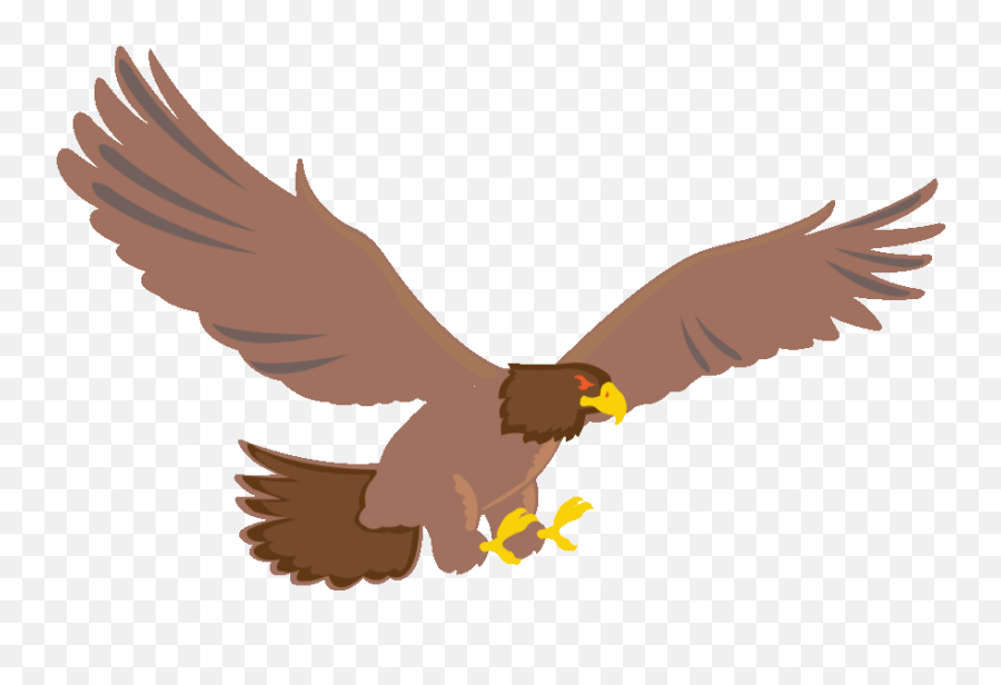Buncee - March 11 2021 Emoji,Hawk Head Clipart