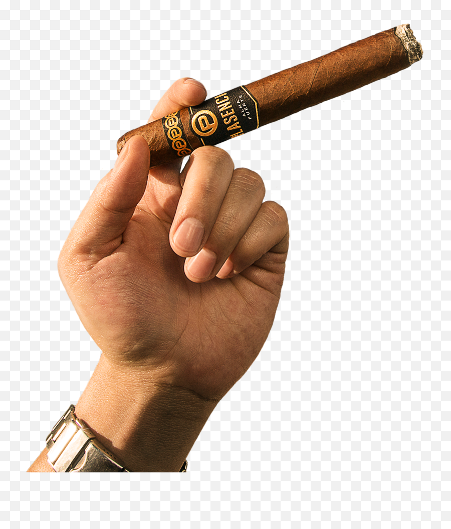 Holy Smoke Cigar A Cigar Cafe - Cigar Transparent Emoji,Cigar Png
