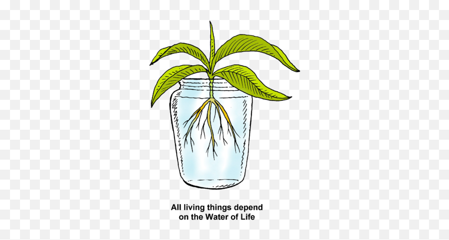 Things Depend - Water In Life Clipart Emoji,Life Clipart