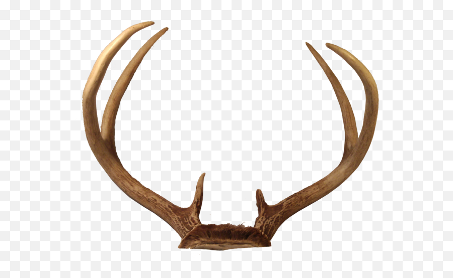 Deer Horns Png Transparent Images Emoji,Horns Png