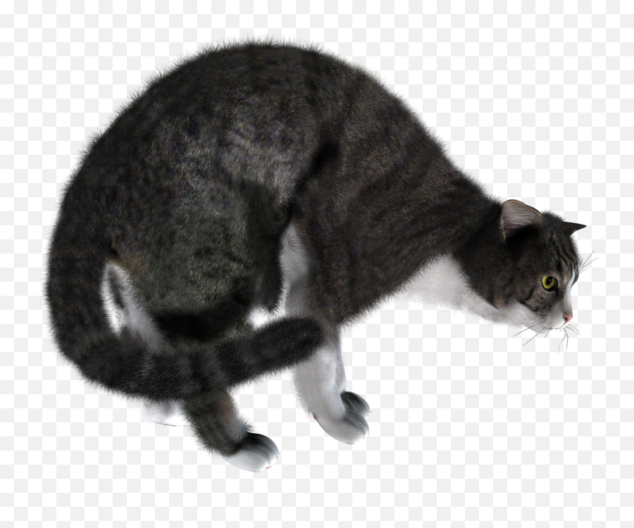 Cats Clipart Png - Cat Emoji,Cats Clipart