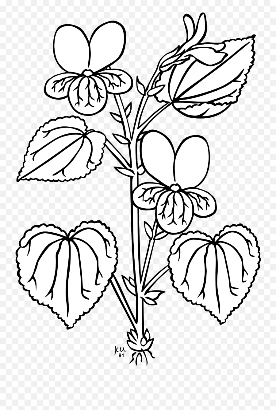 Heart Art Symmetry Png Clipart - Sampaguita Plant Clipart Black And White Emoji,Roots Clipart