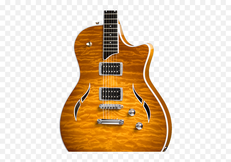 Electric Guitars - Solid Emoji,Taylor Guitars Logo