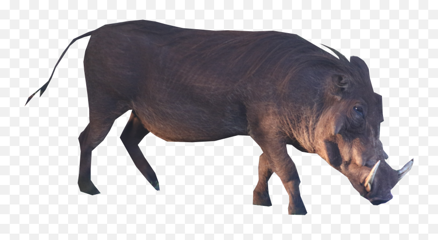 Squirrel Clipart With No Background In Color - Cattle Warthog Png Emoji,Squirrel Transparent Background